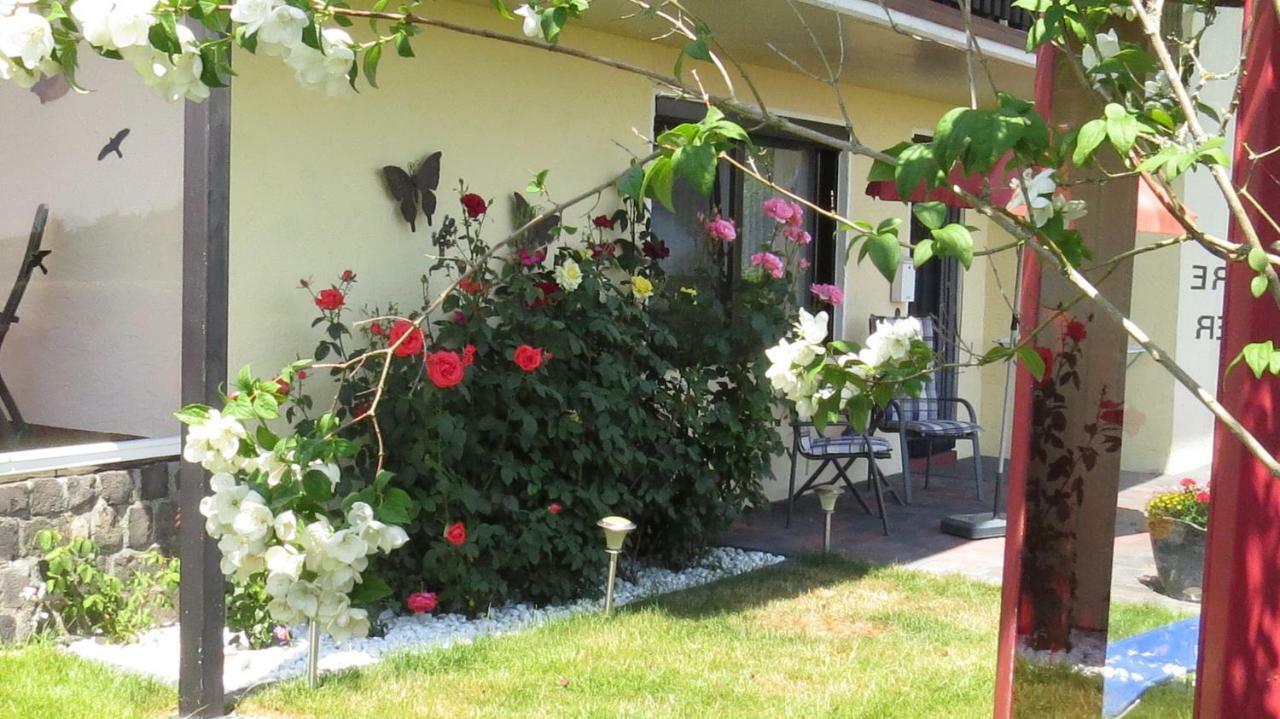 שליידן Ferienwohnung Panoramablick מראה חיצוני תמונה